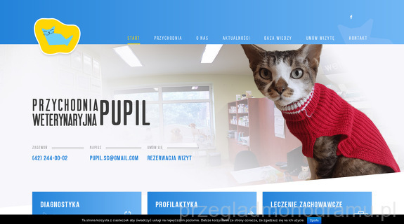 Przychodnia Weterynaryjna Pupil