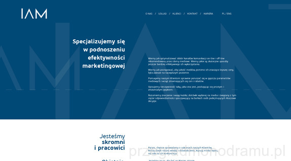 Instytut Audytu Mediowego